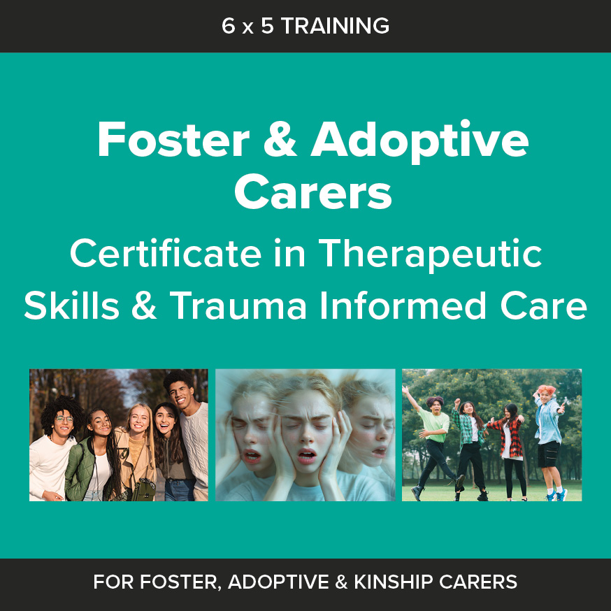 TISCUK_Foster_Carer_Graphics6.jpg